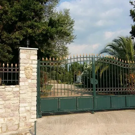 ионика